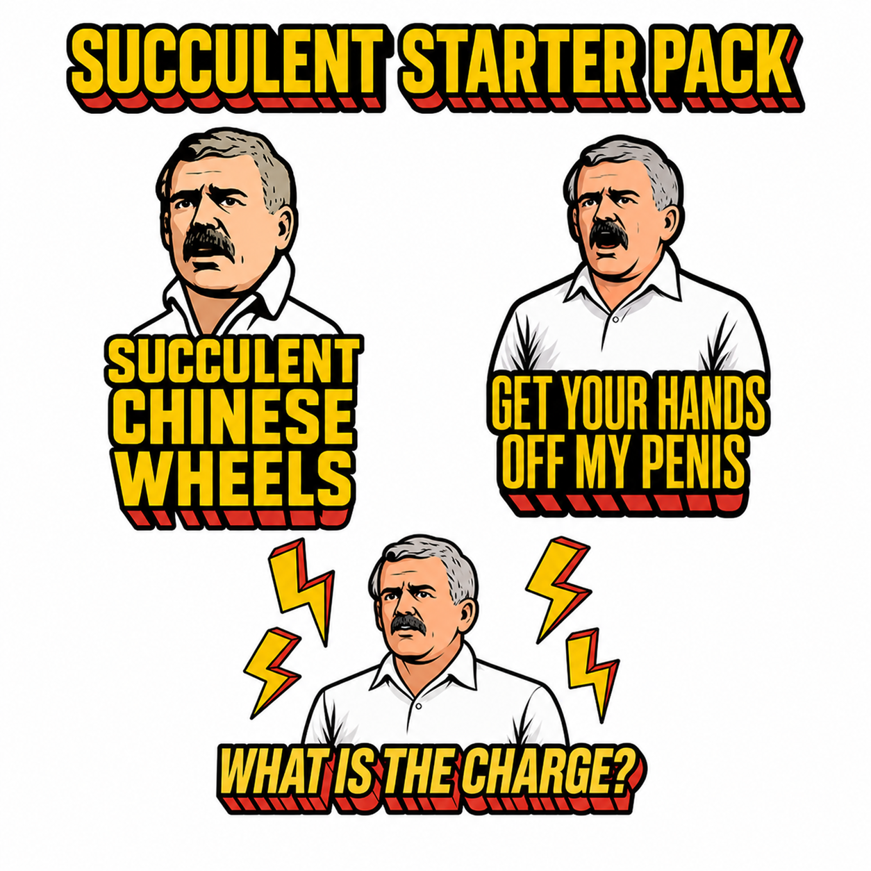 Succulent Starter Pack
