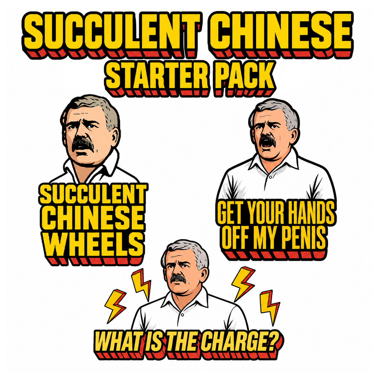 Succulent Starer Pack