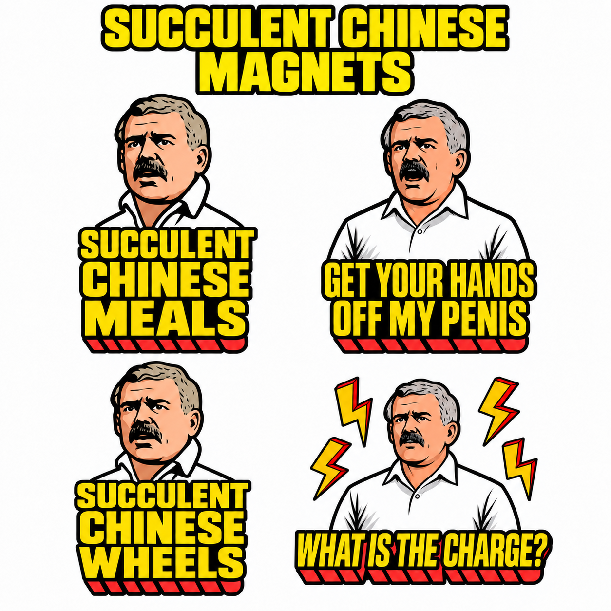 Succulent Chinese Magnets