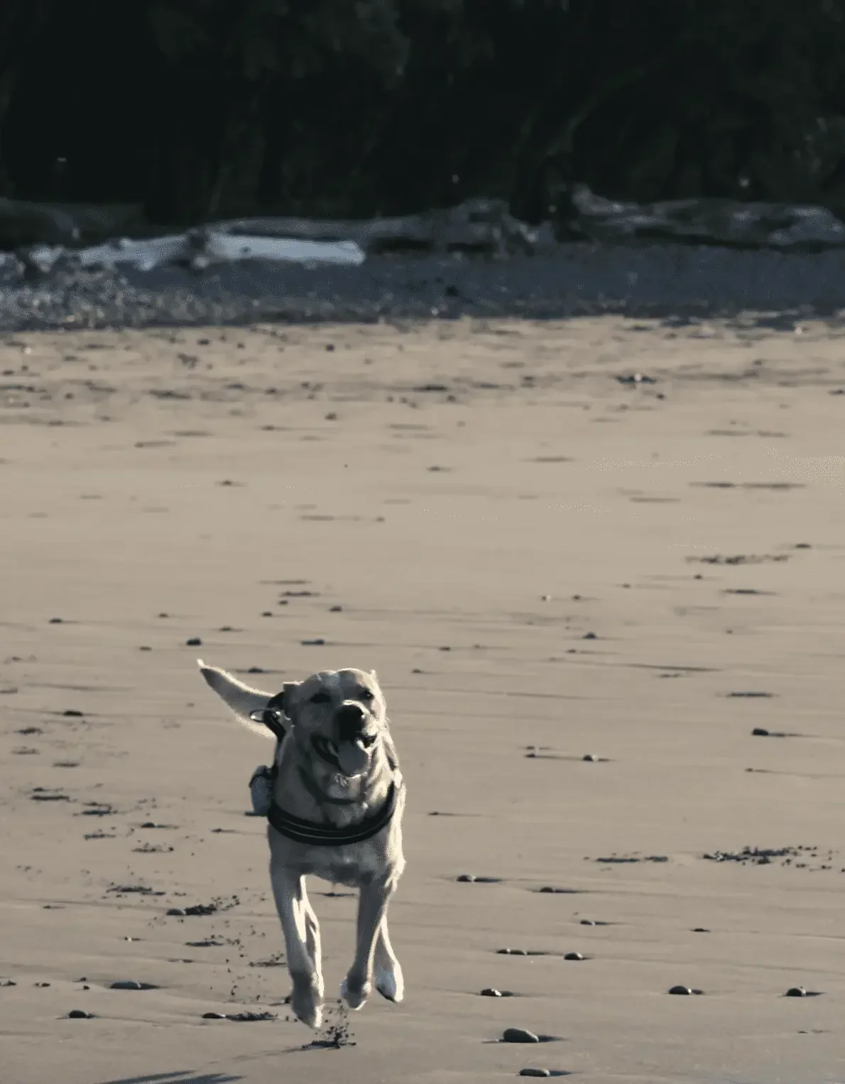 screenshot-2025-08-03-at-20_optimized.57.14-final.webp