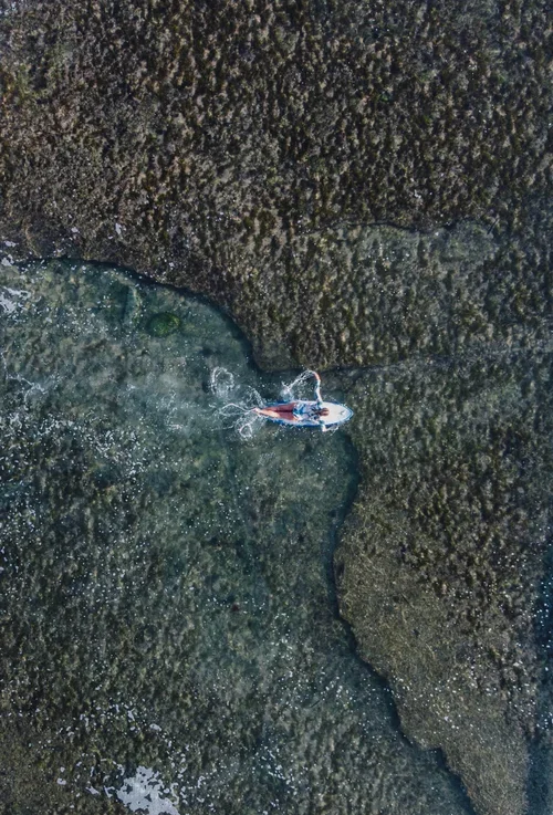 DJI_0742.webp