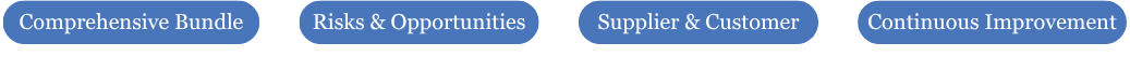 Four oval blue buttons labeled 'Comprehensive Bundle,' 'Risks & Opportunities,' 'Supplier & Customer,' and 'Continuous Improvement.'
