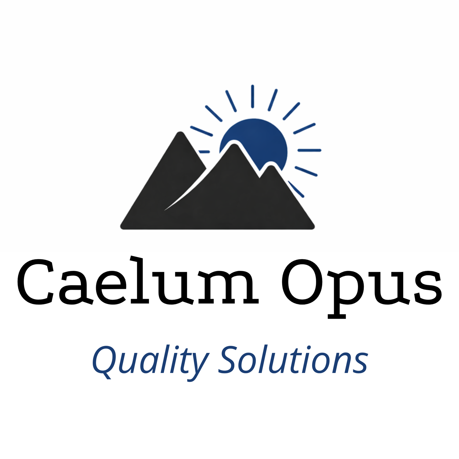 Caelum Opus Quality Consulting