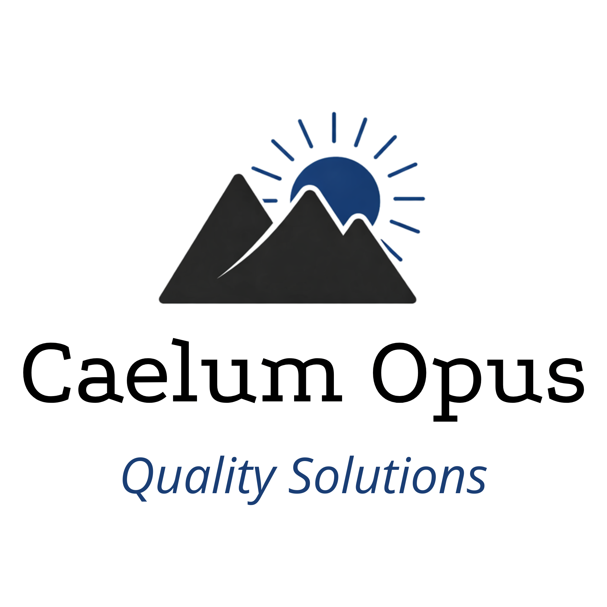 2 Week Light Implementation Support, 10 Questions