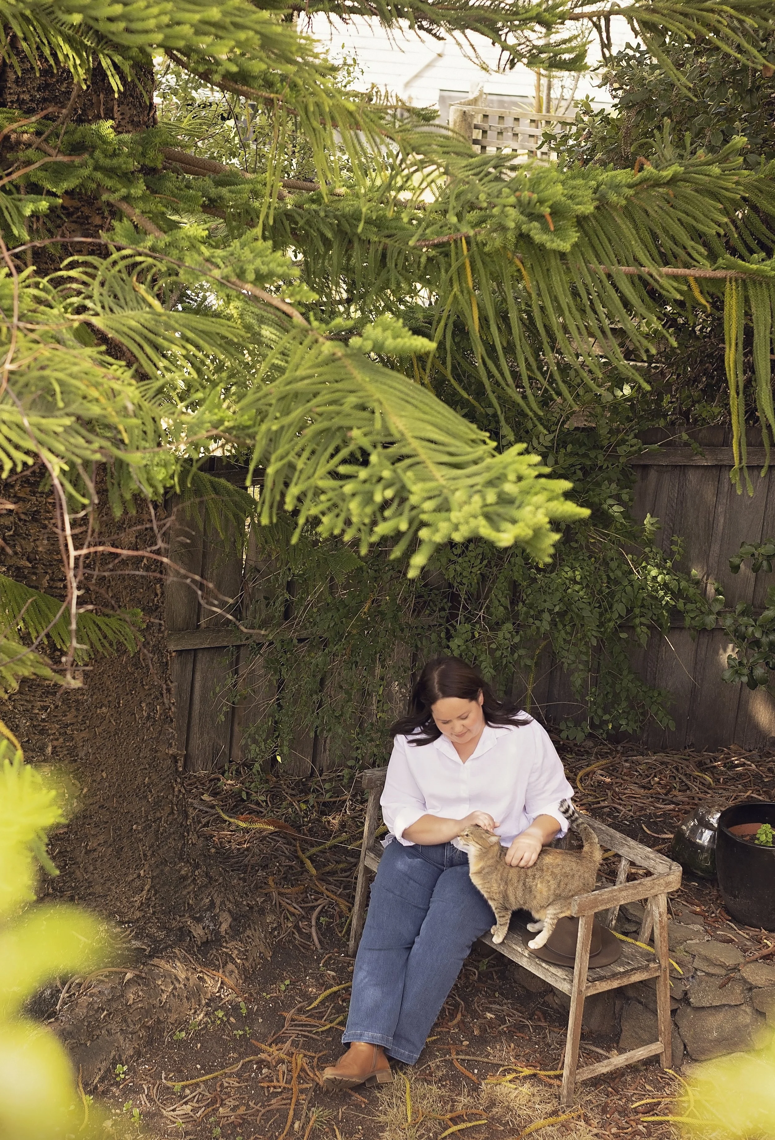 A woman sitting on a wooden bench outdoors, petting a tabby cat, under a large pine tree with a wooden fence in the background.