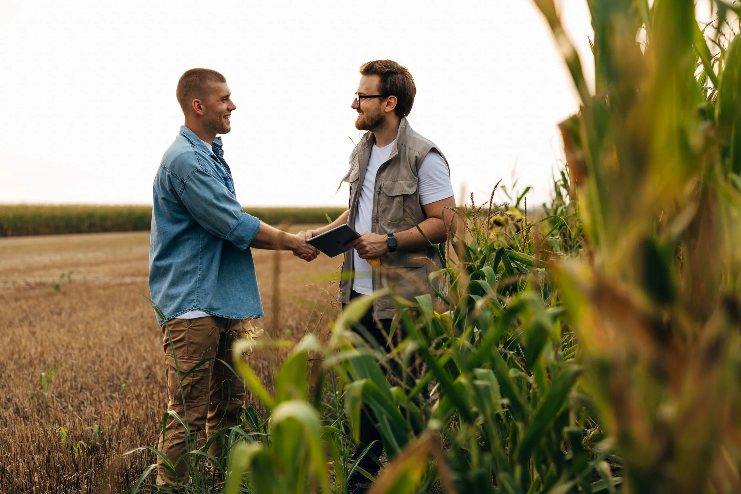 Two men shaking hands in a cornfield, smiling and holding a tablet, with a clear sky in the background.