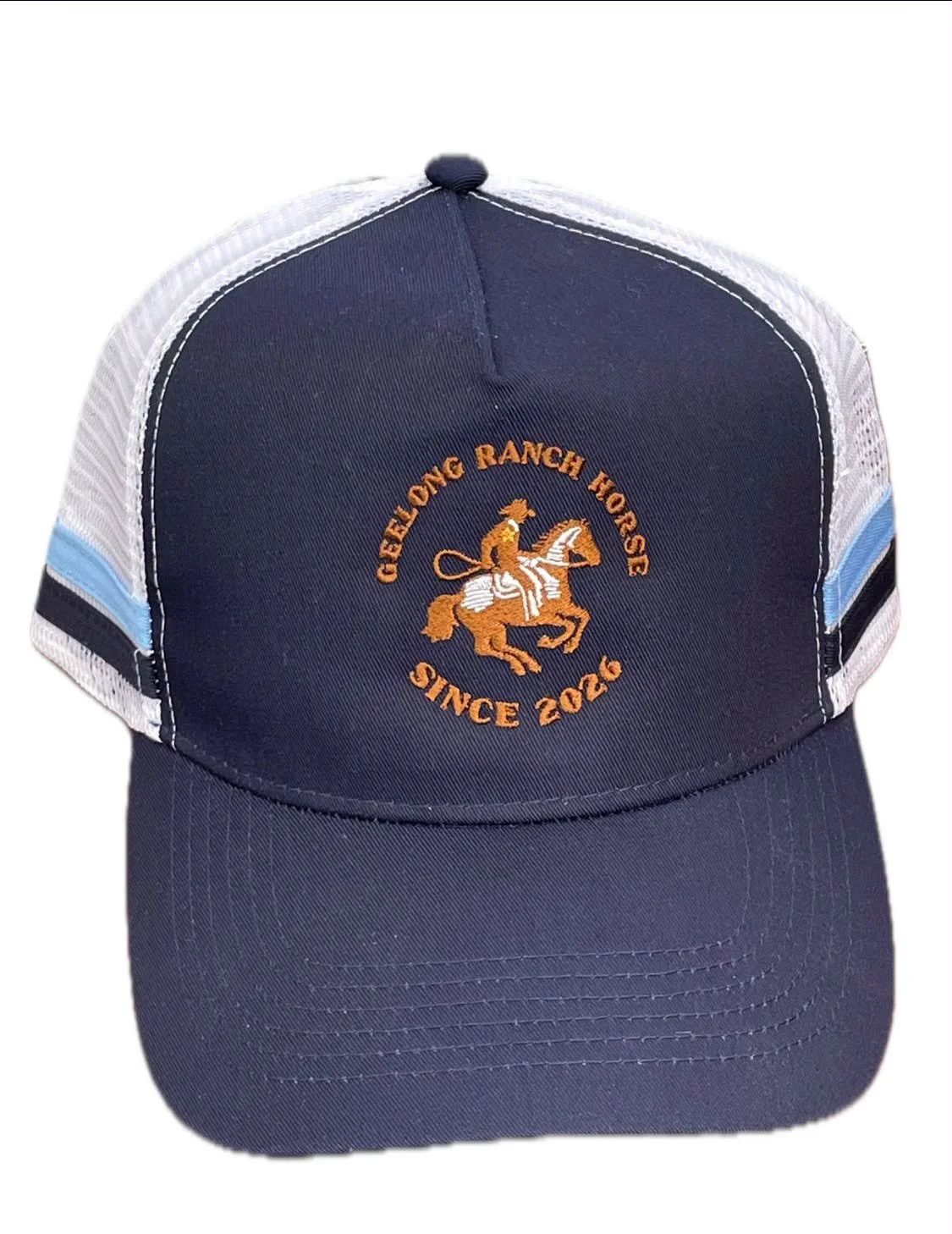 Blue+Hat.png