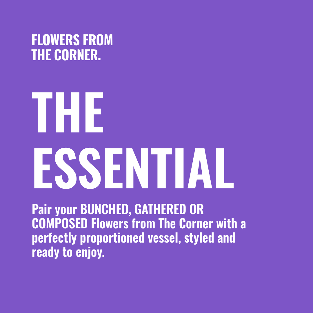 THE ESSENTIAL VESSEL