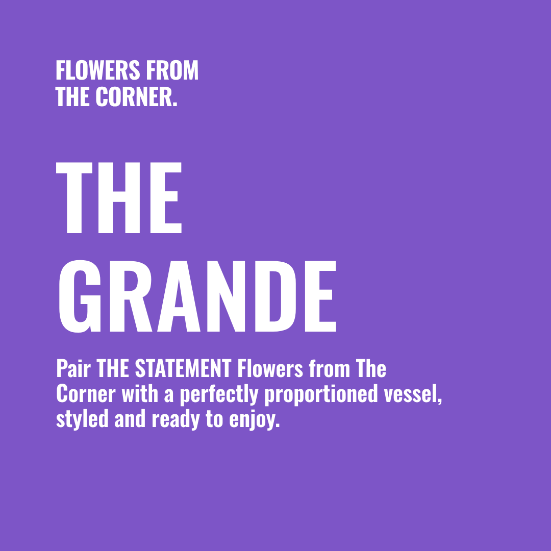 THE GRANDE VESSEL