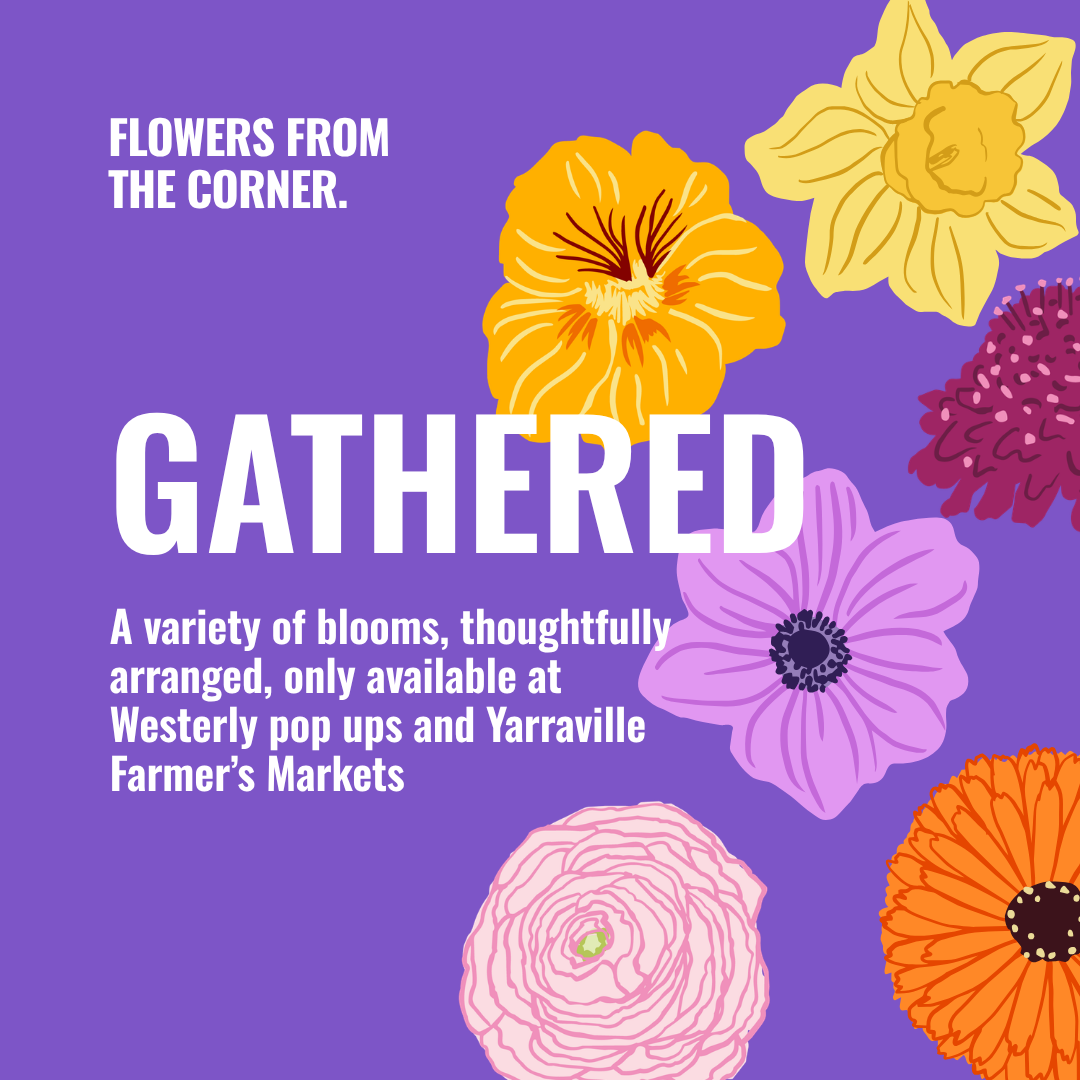 GATHERED · Pop Up Arrangements
