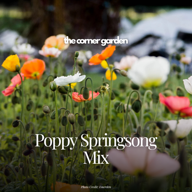 Poppy springsong mix.png