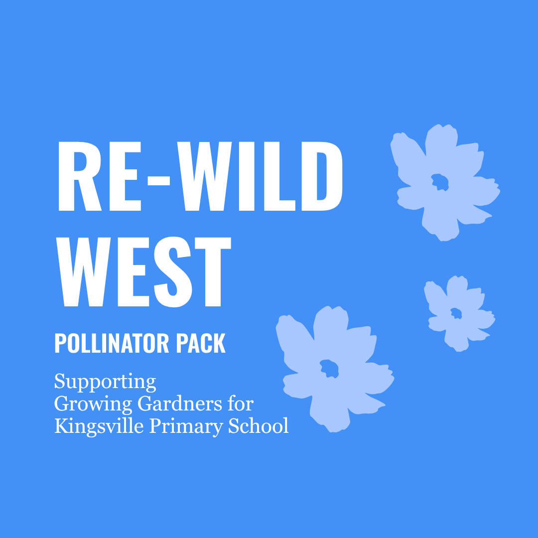 Re-Wild West Pollinator Pack