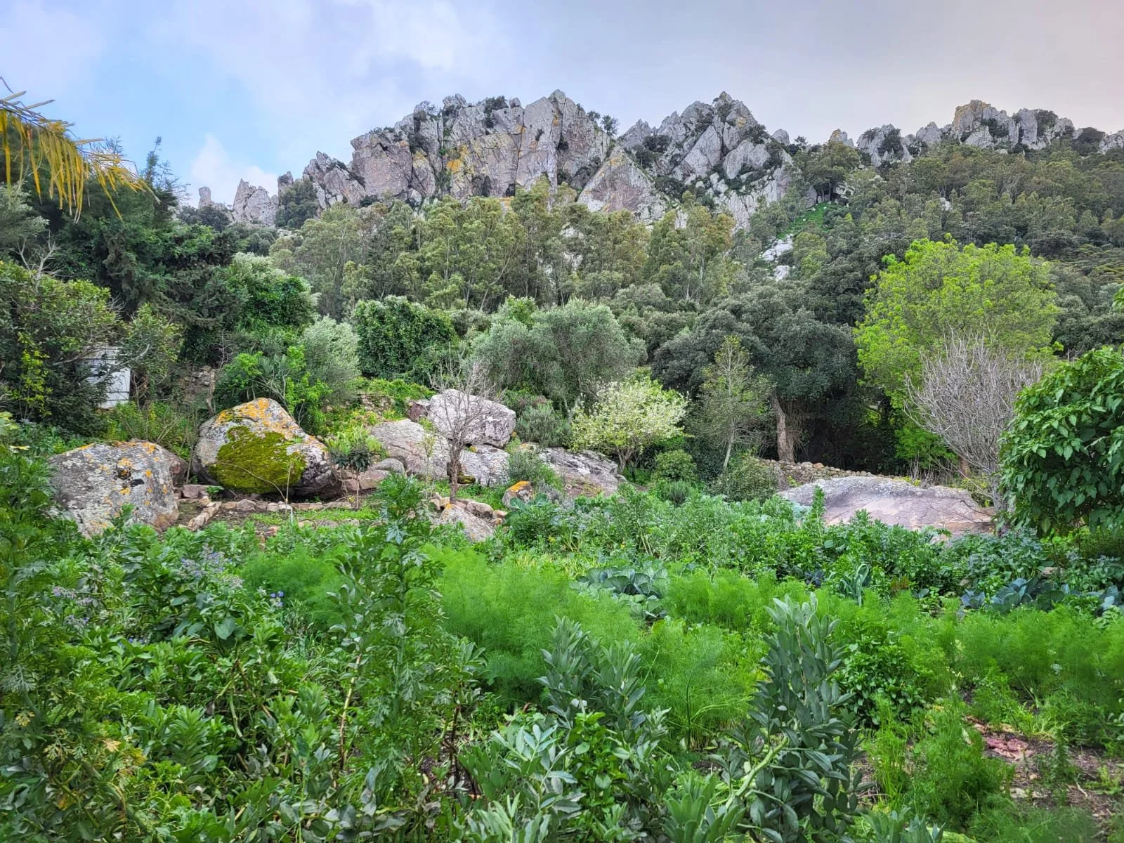 Nature at Autumn Retreat in Bolonia Beach.jpg