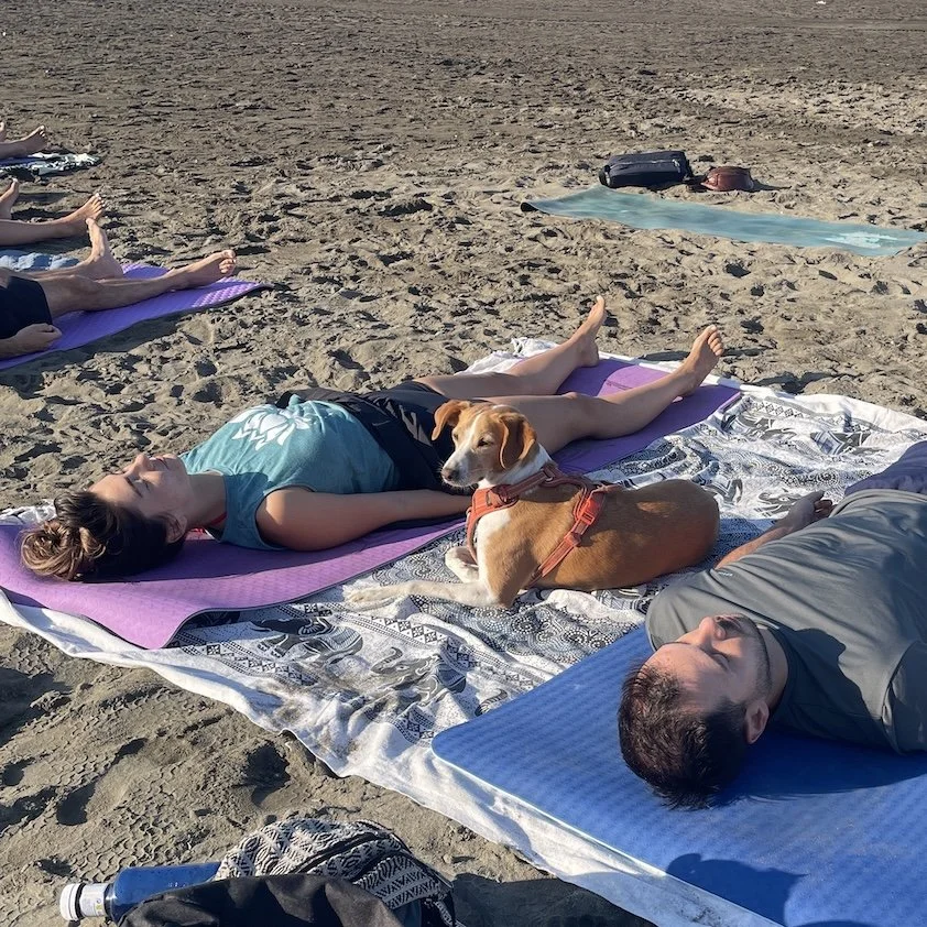 Dog-friendly beach yoga.JPG