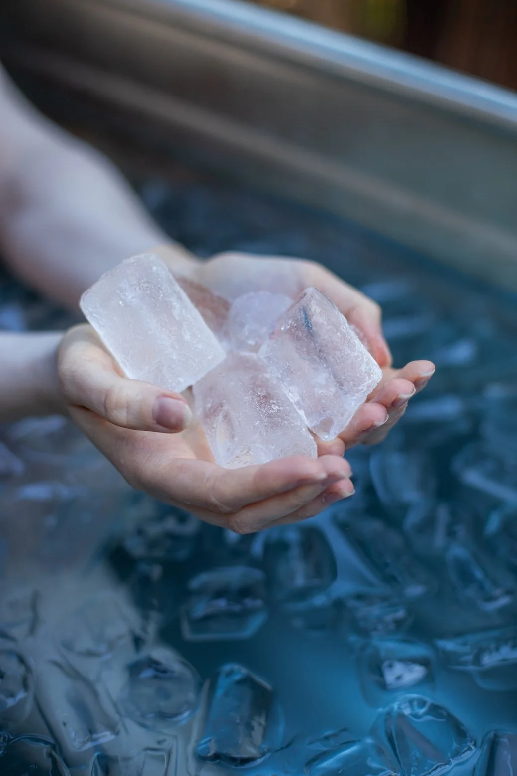 Frozen treasure.jpg