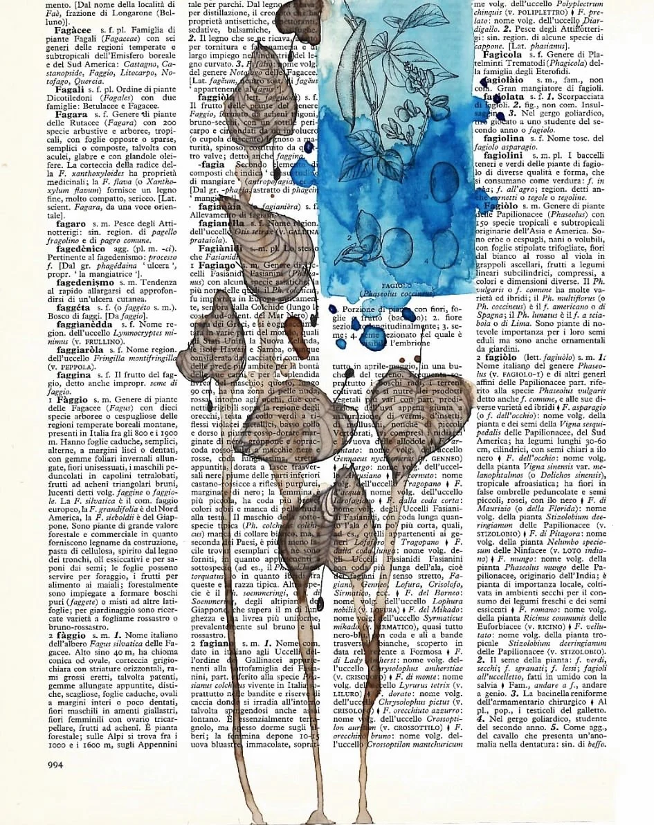 Schizzo  fiori, foglie, acquarello su pagina con sfondo di pagine di libro con testo in italiano, evidenziato con macchie di vernice blu. Perfetto ideale adatto per arredamento interni