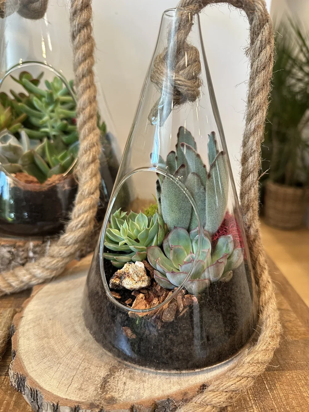 Rope Terrarium3