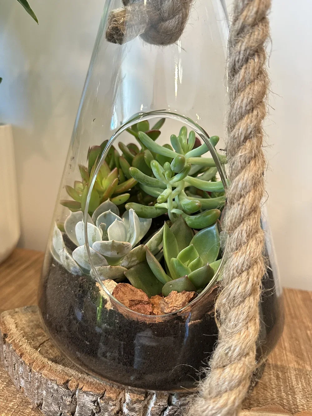 Rope Terrarium2