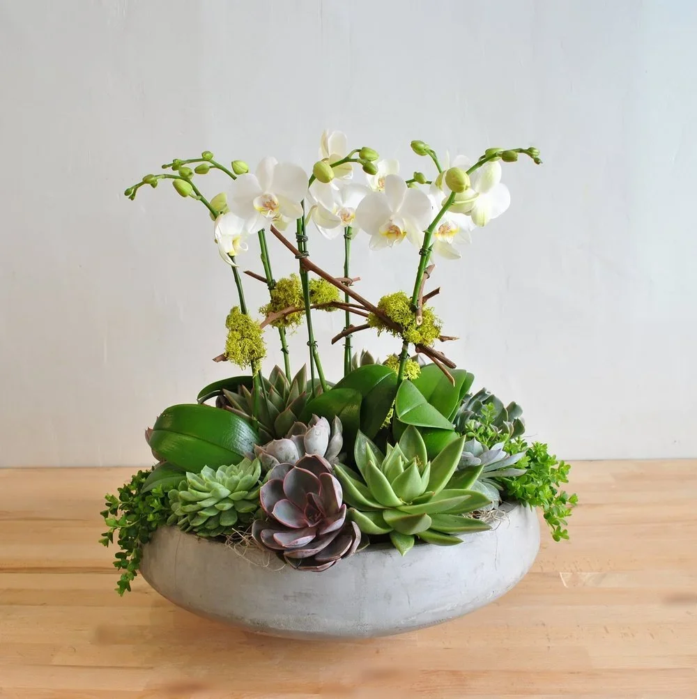 Orchid Planter