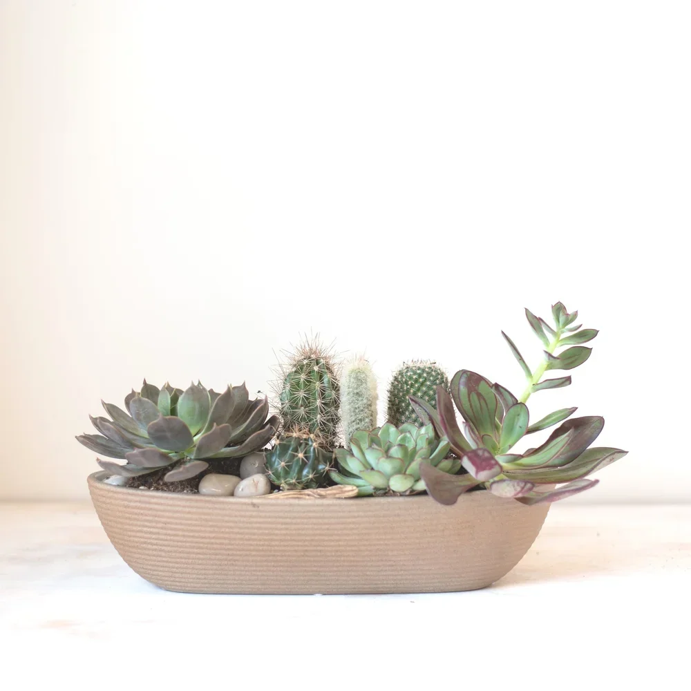 Oval Desert Planter