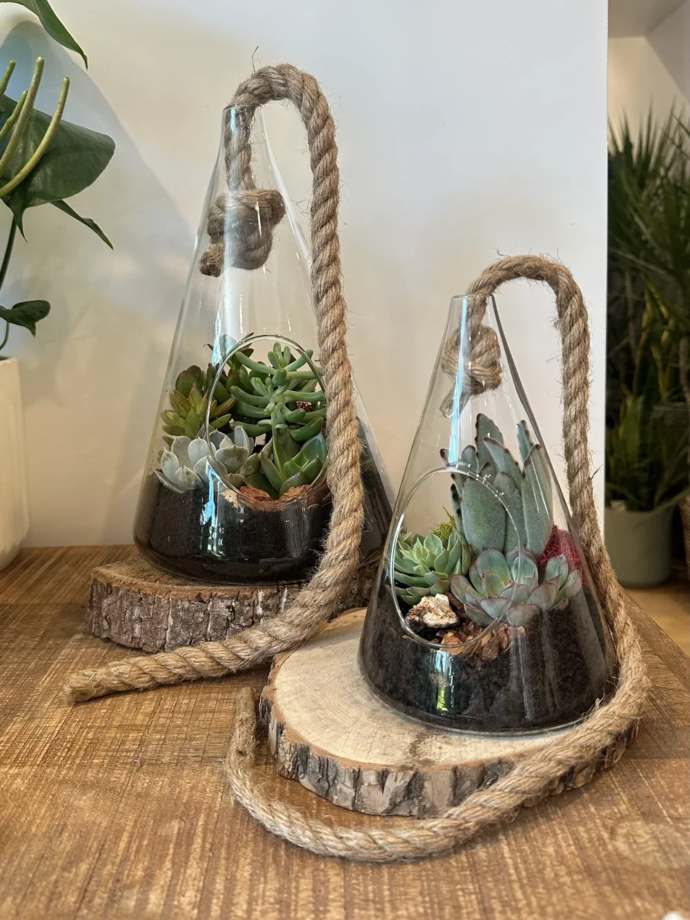 Rope Terrarium
