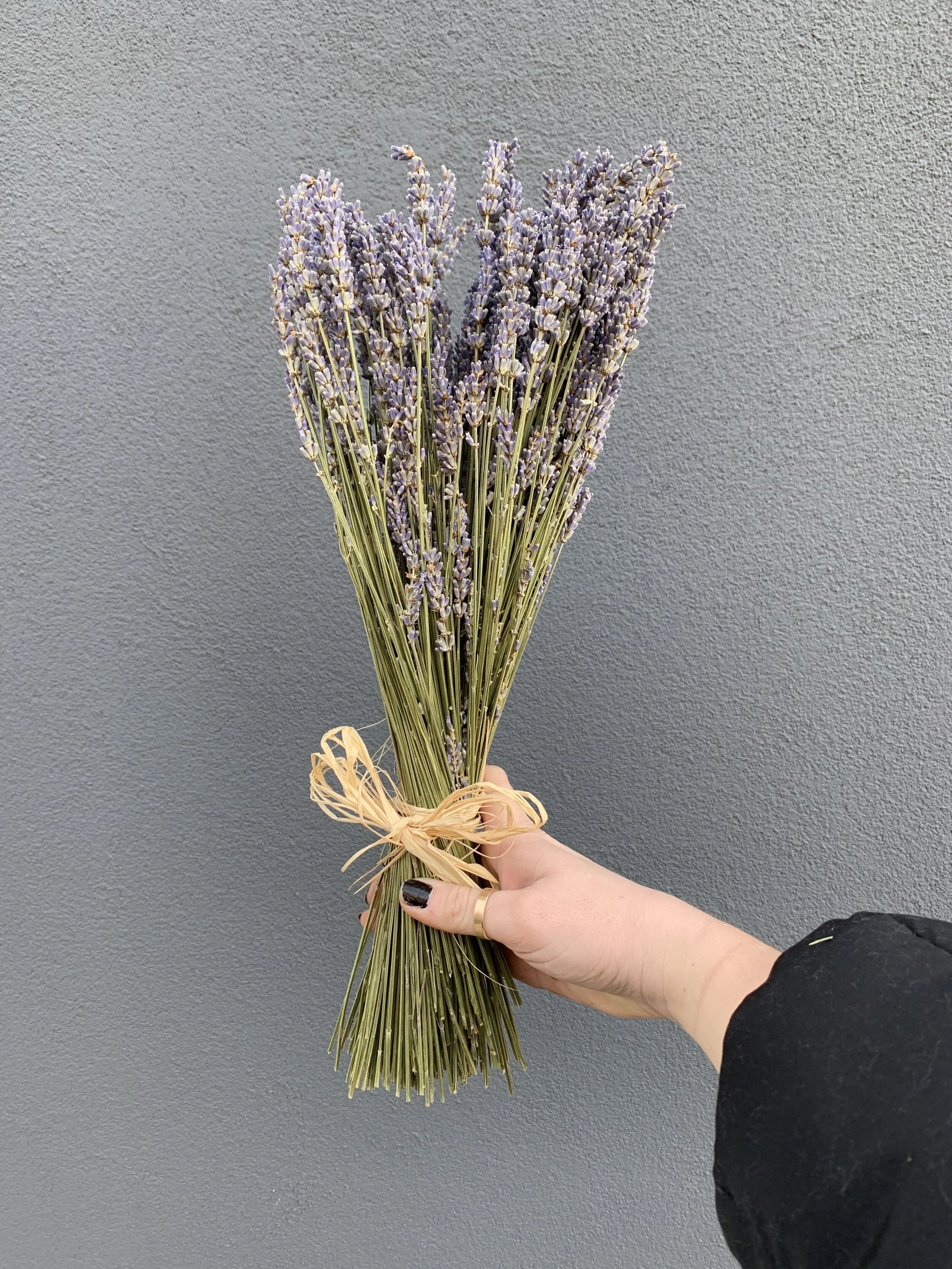 Dried Lavender