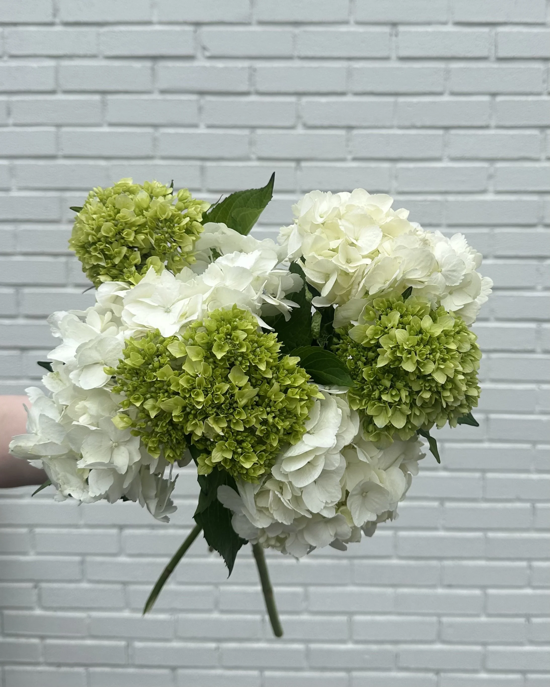 Mixed Hydrangea Bunch