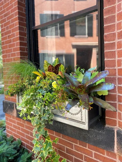 IMG_9925+(2) (1).webp