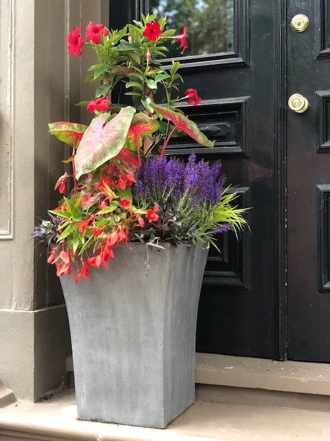 container+4 (1).webp