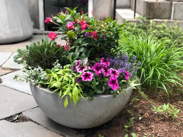 Container+3 (1).webp