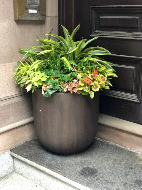 Container+2 (1).webp