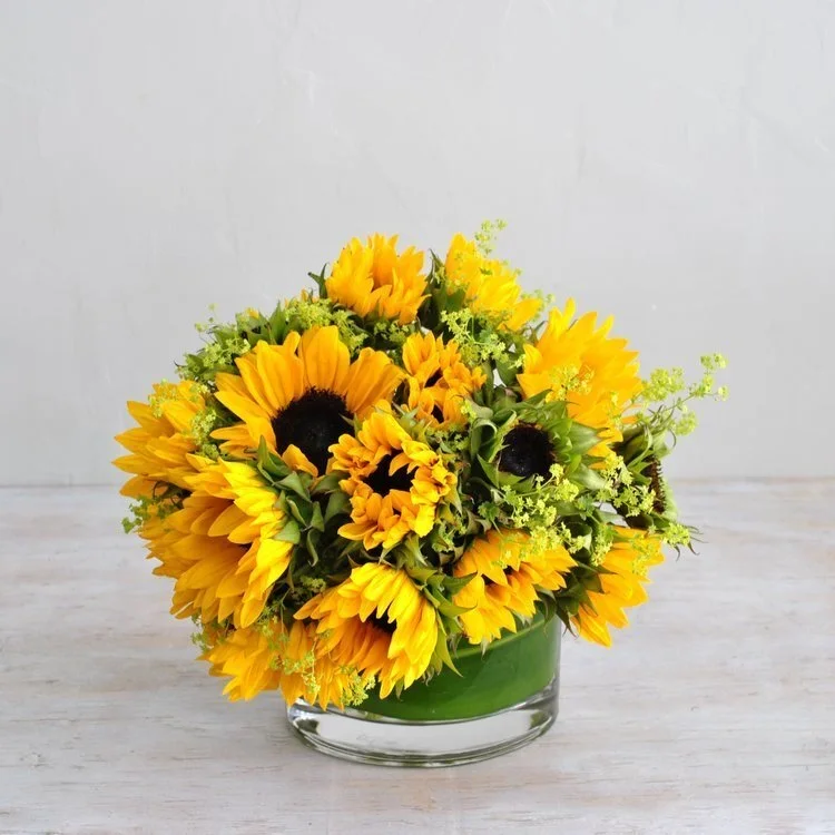 Sunflower arrangements for pickup or delivery boston