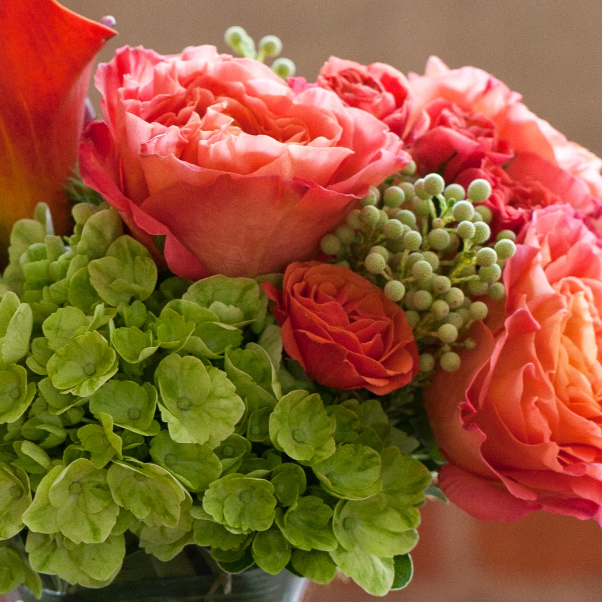 image-asset (7).webp