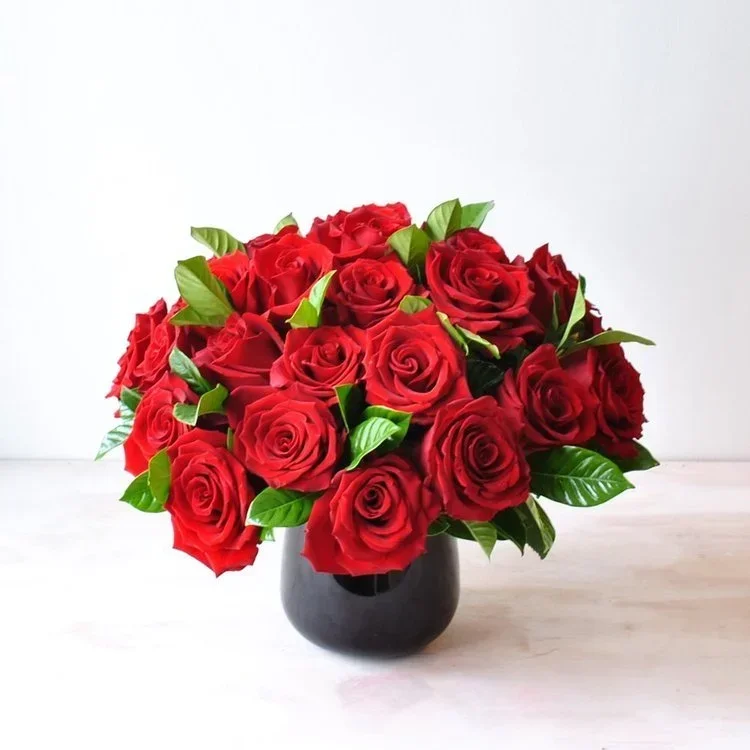 redroses.webp