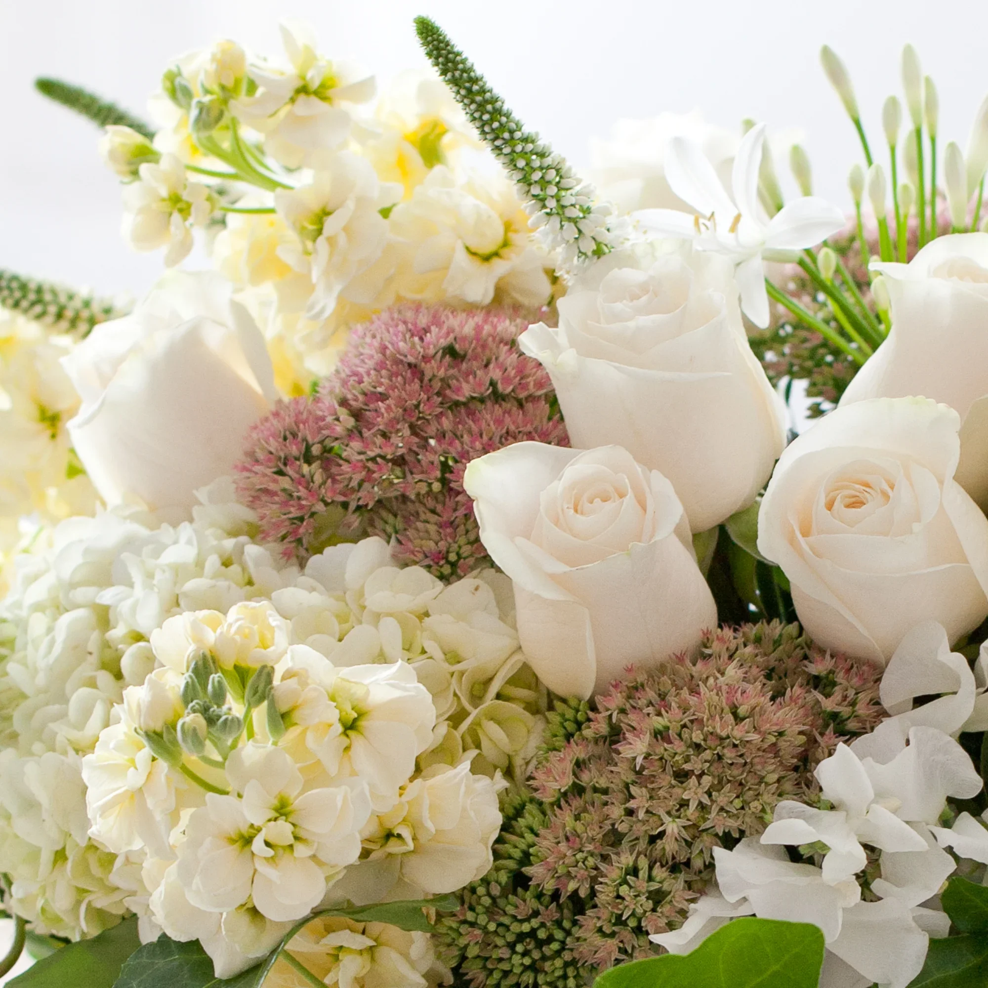 image-asset (12).webp