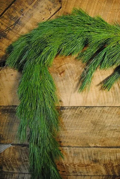 PINE+GARLAND+2.webp