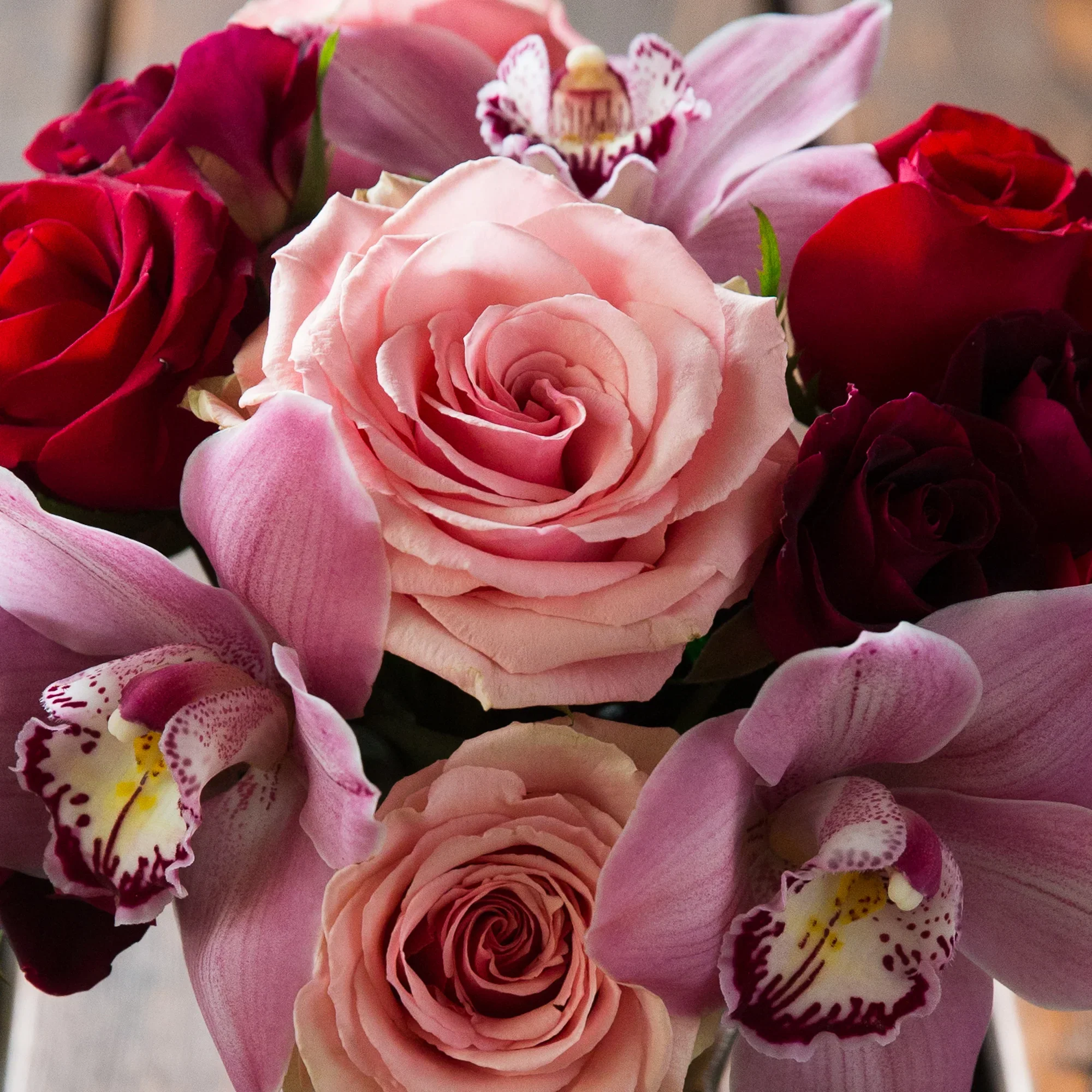 image-asset (10).webp