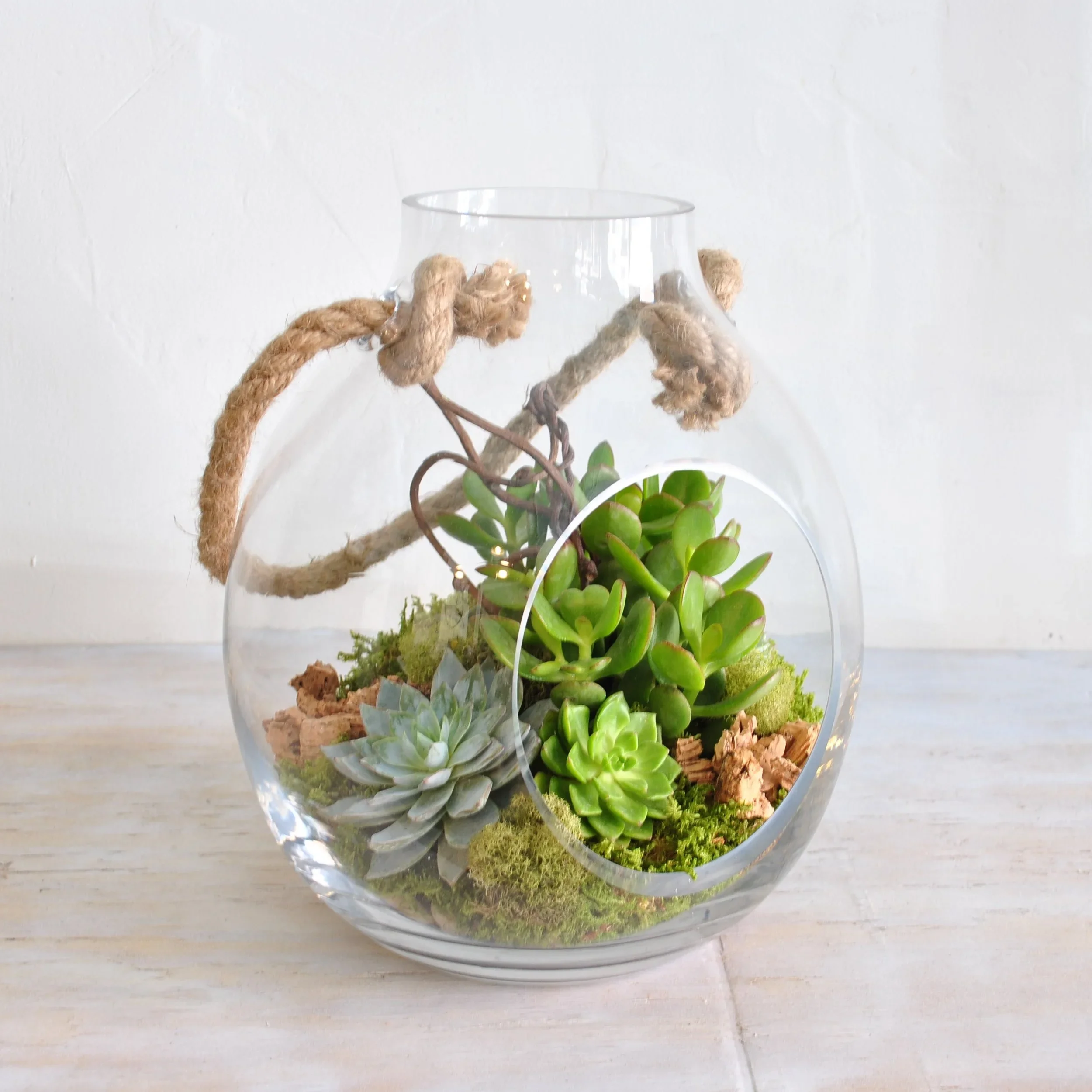 12" Terrarium