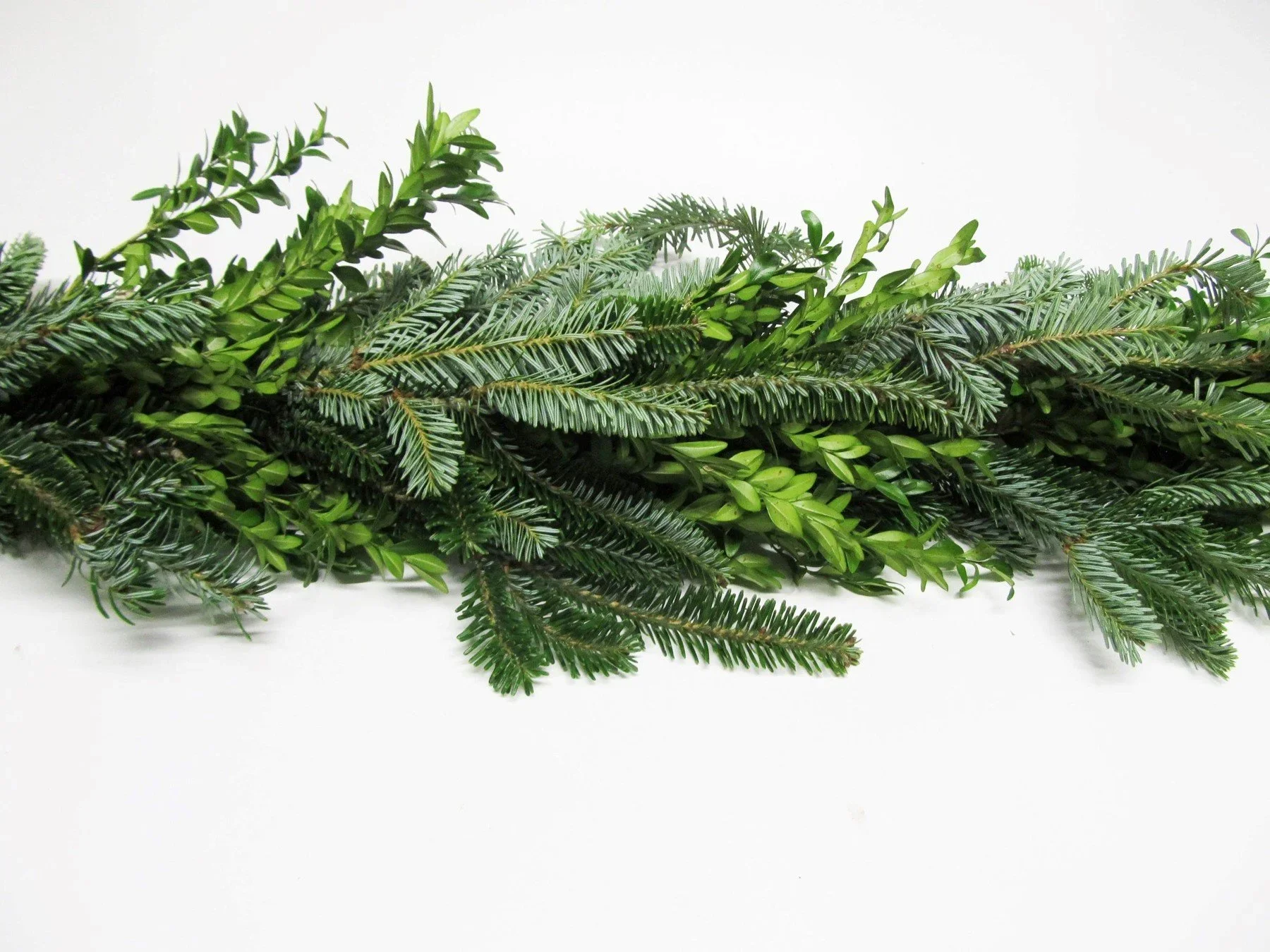 25' Boxwood, Pine + Fir Garland