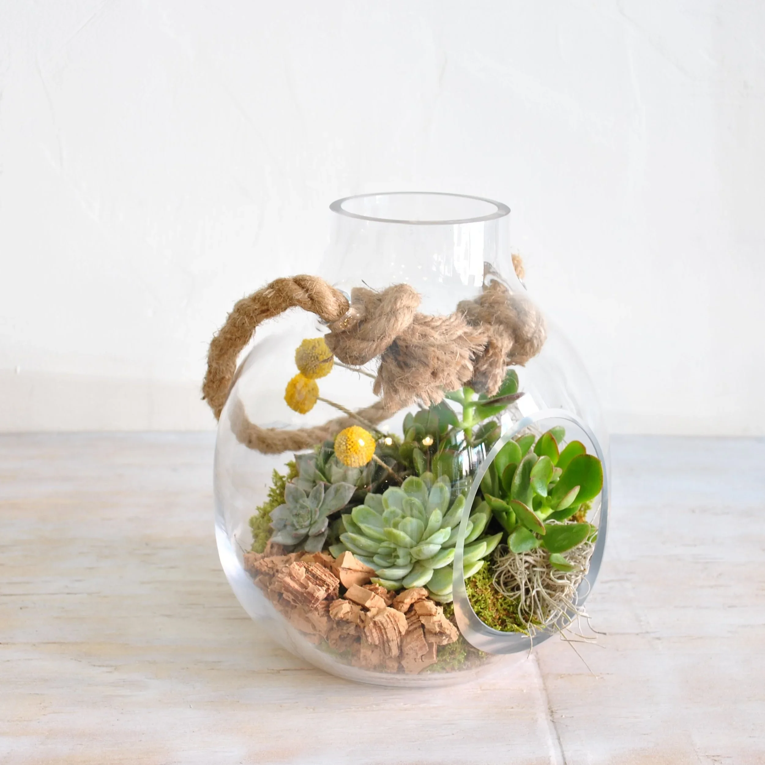9" Terrarium