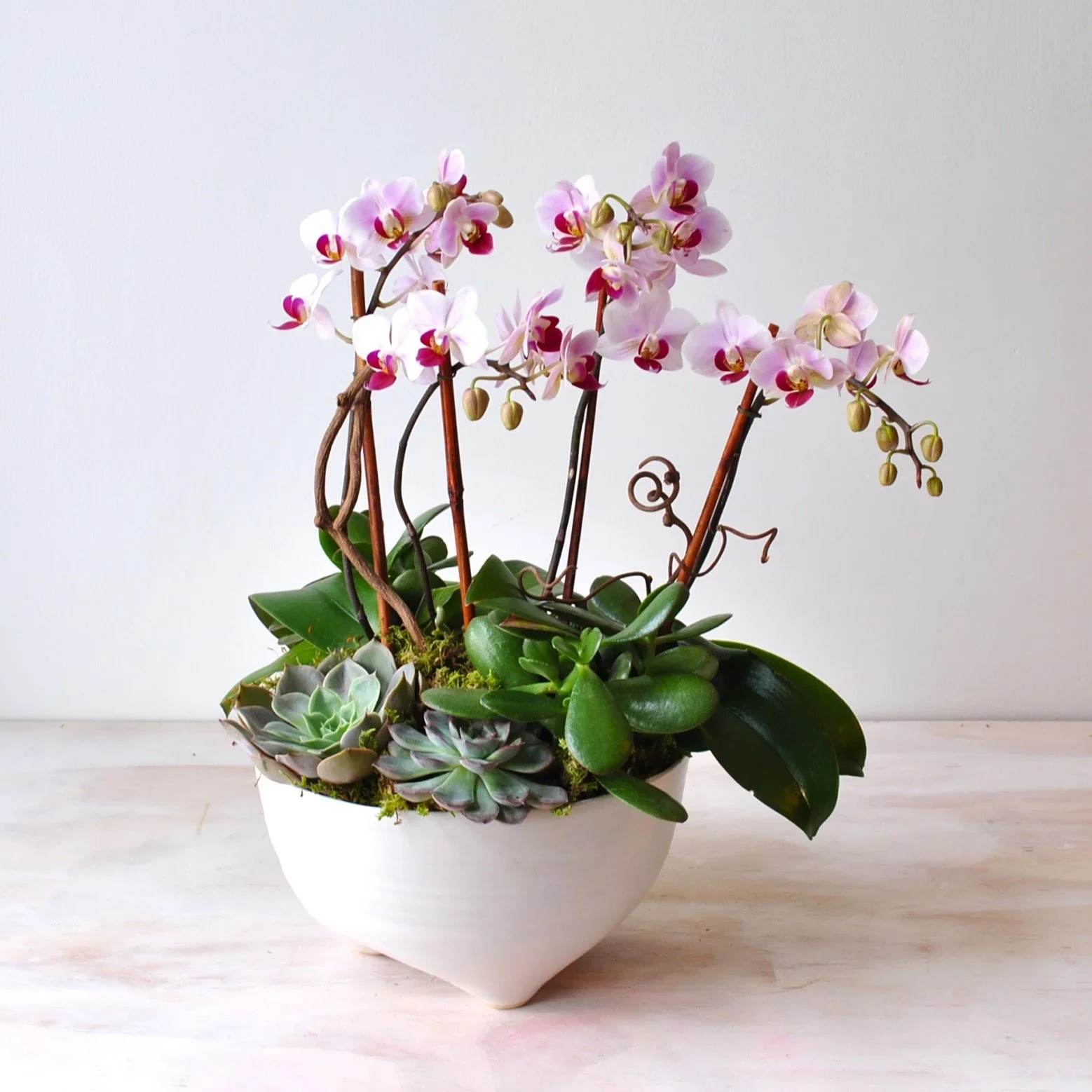 Blush Orchid Bowl