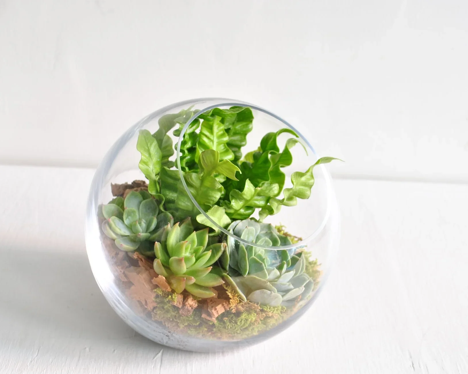 Globe Terrarium