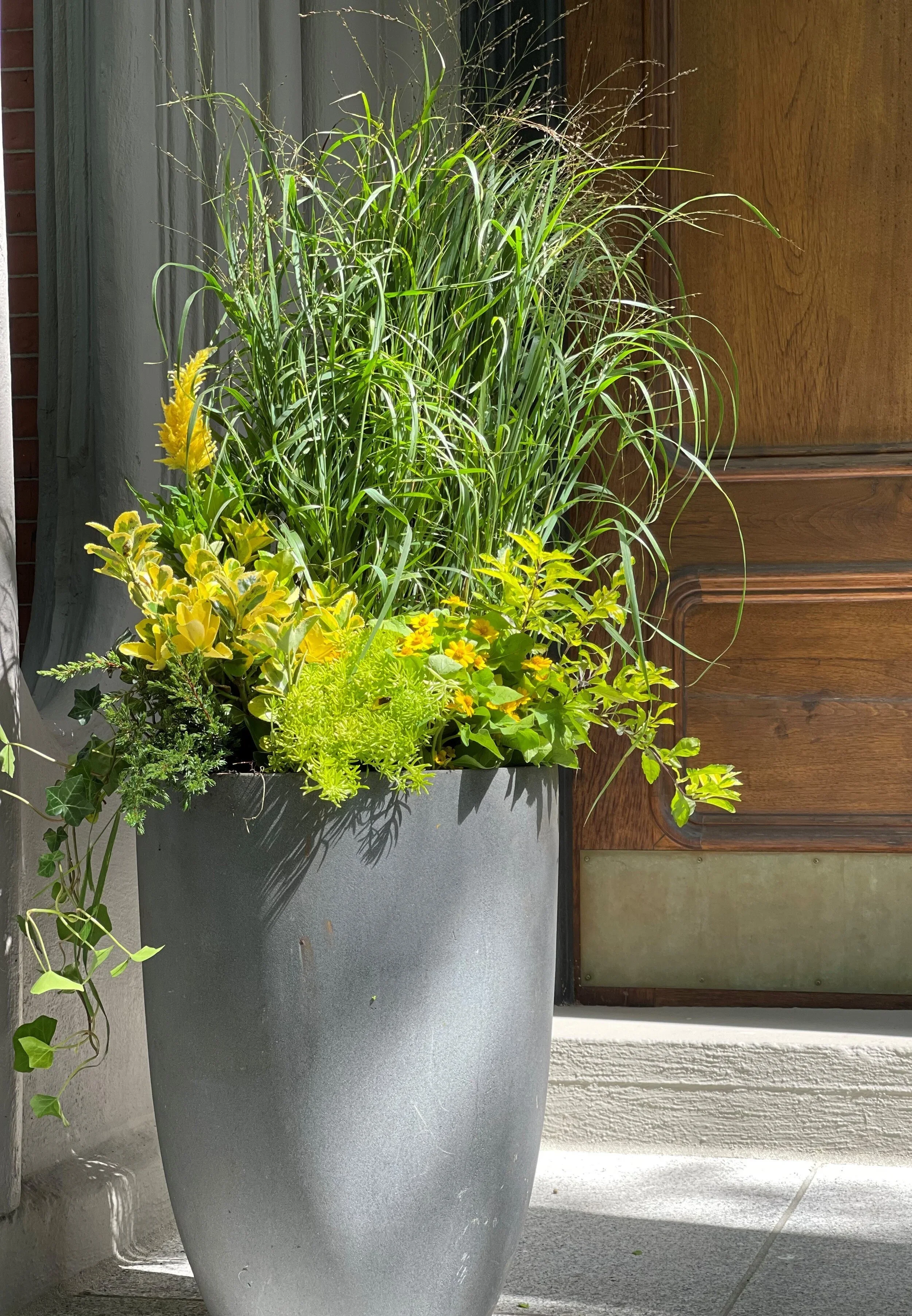 Late Summer Cream Container Planting