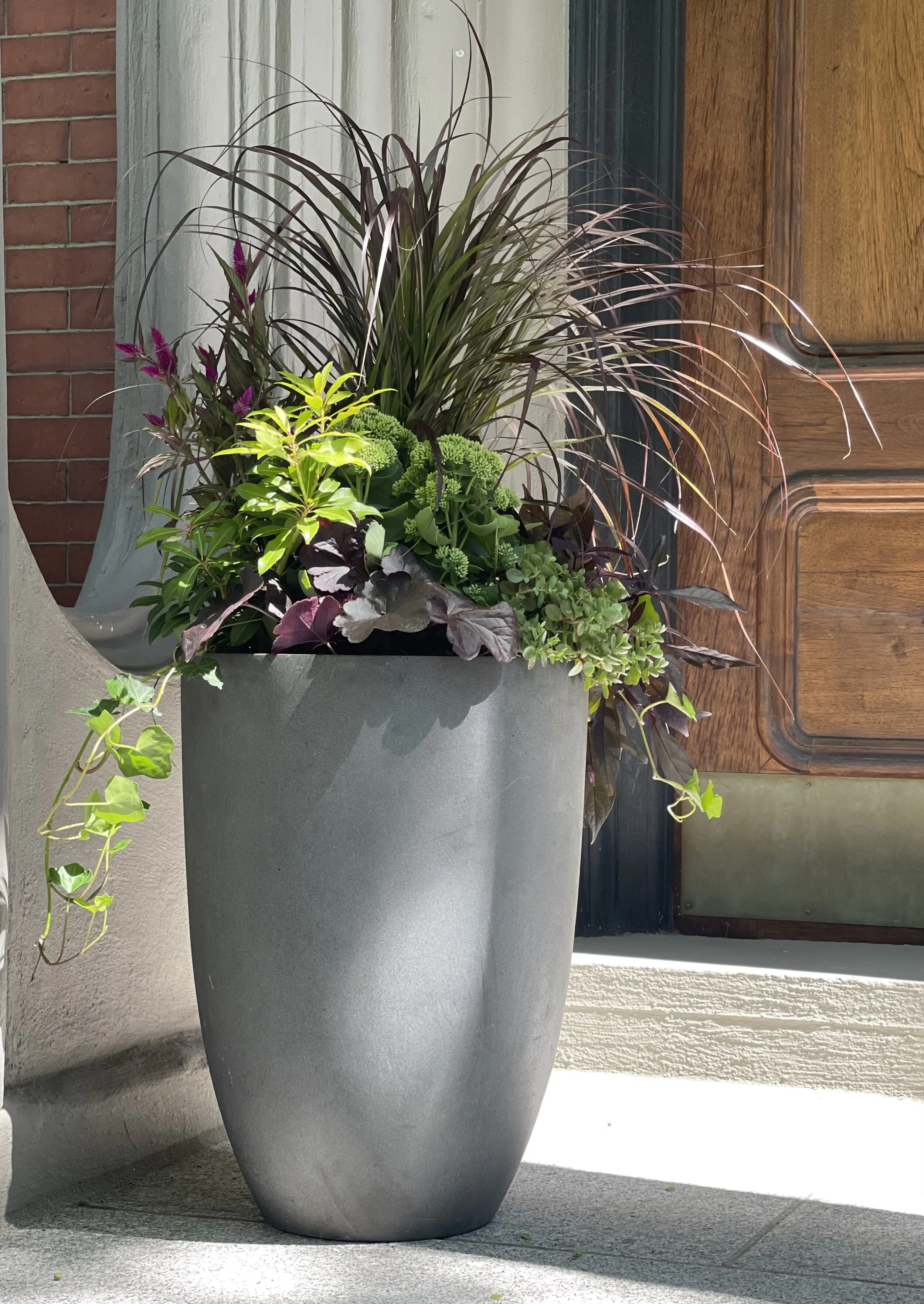 Late Summer Rubrum Container Planting