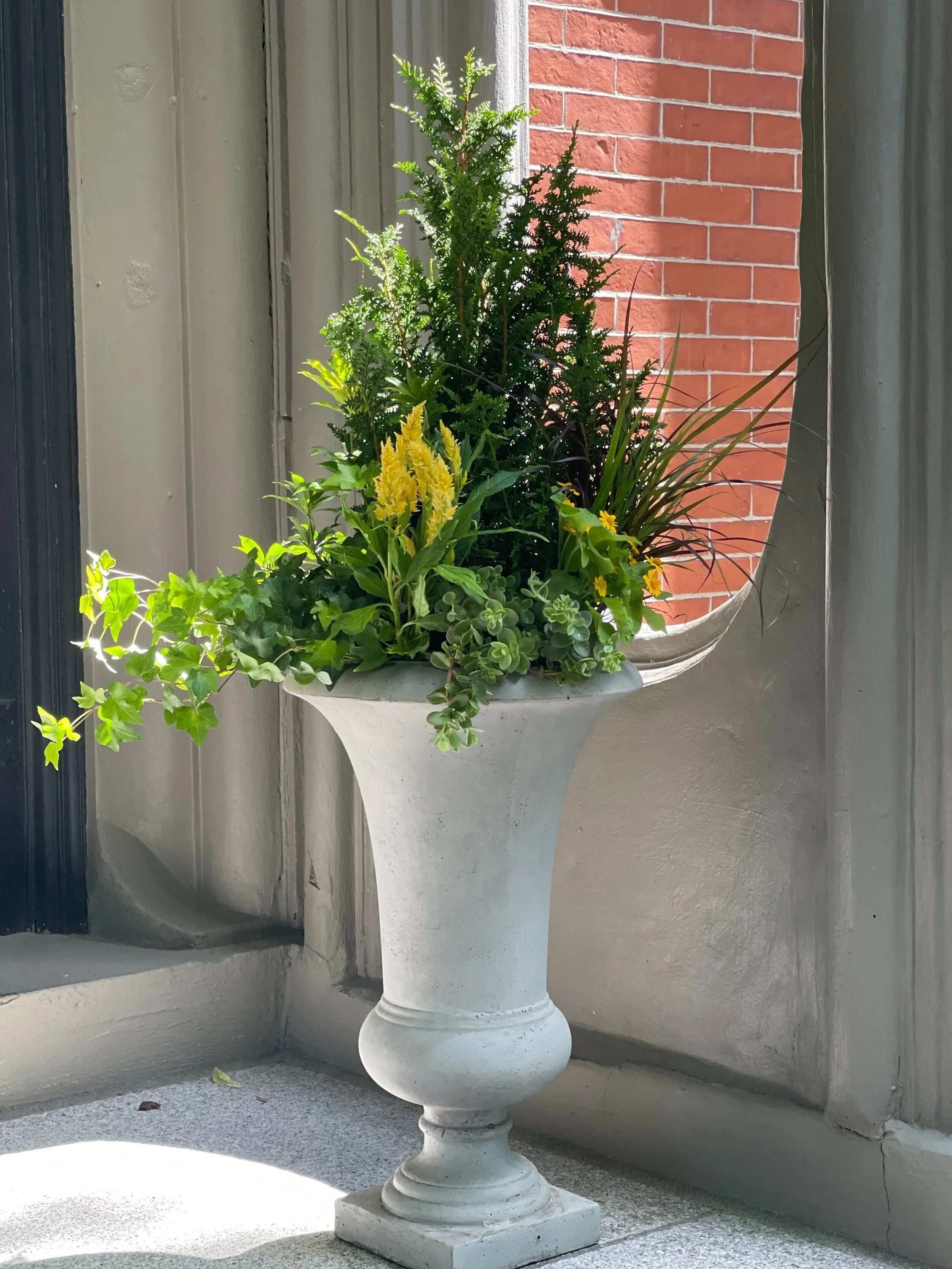 Late Summer Vibrant Urn Planting