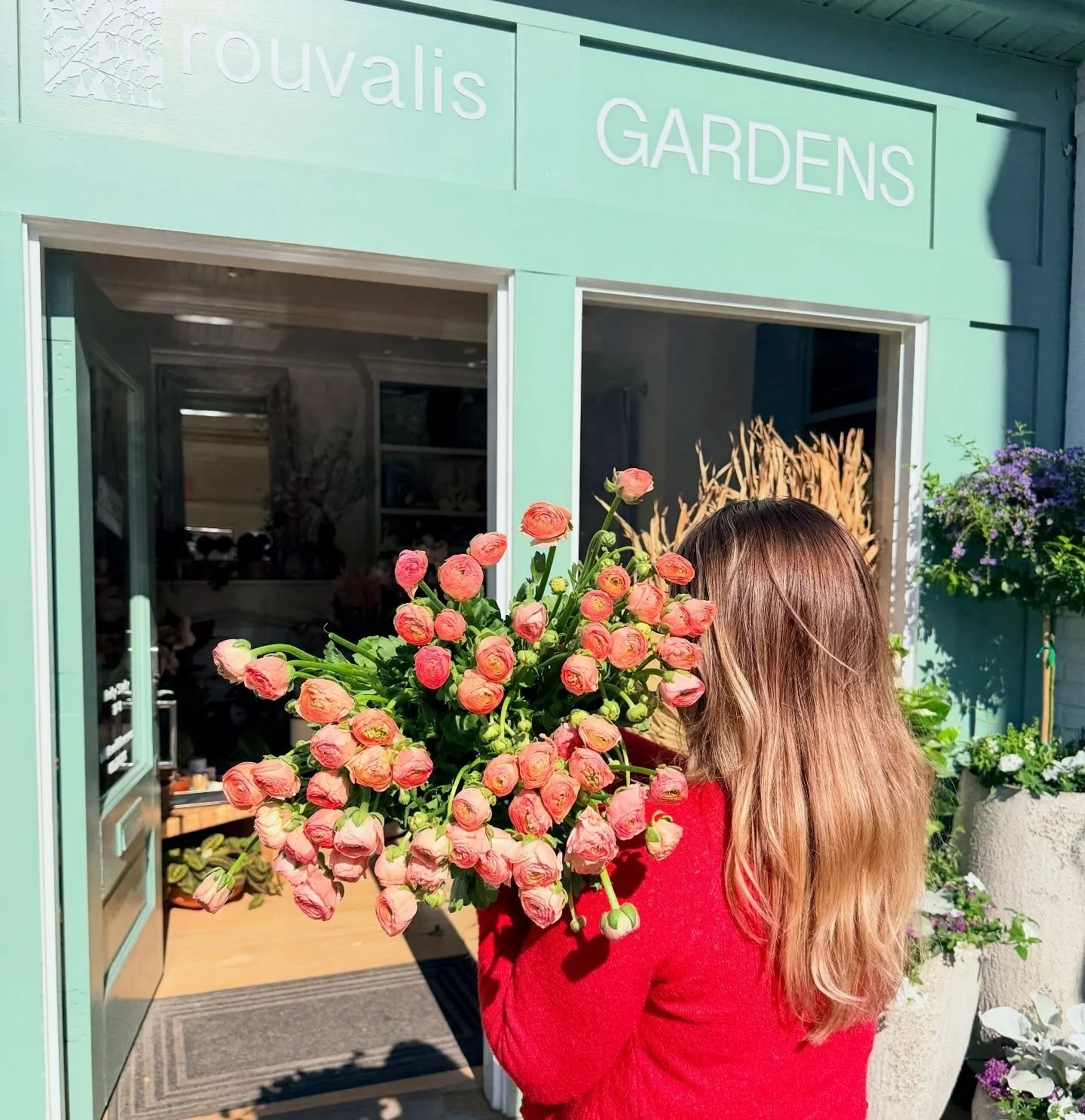 🍑THURSDAY T R I V I A 🍑 Be the first to correctly guess how many gorgeous peach ranunculus &amp; win a prize for pickup! &amp; yes these are available in stores!!