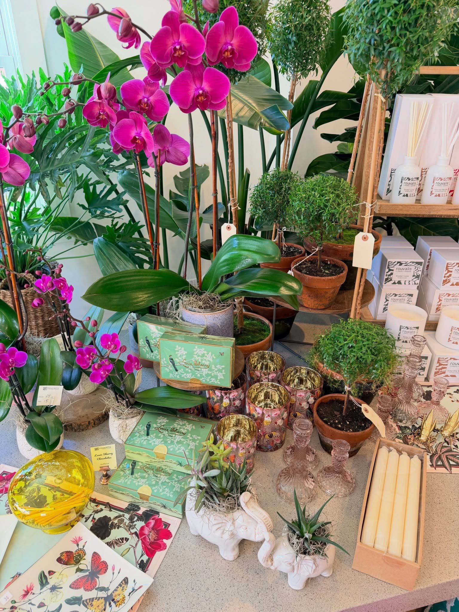 Mother&rsquo;s Day week is here! Beautiful gifts for Mom filling our shops &amp; available for delivery 💐

Open &amp; delivering Monday - Saturday10-6 &amp; Sunday 10-4