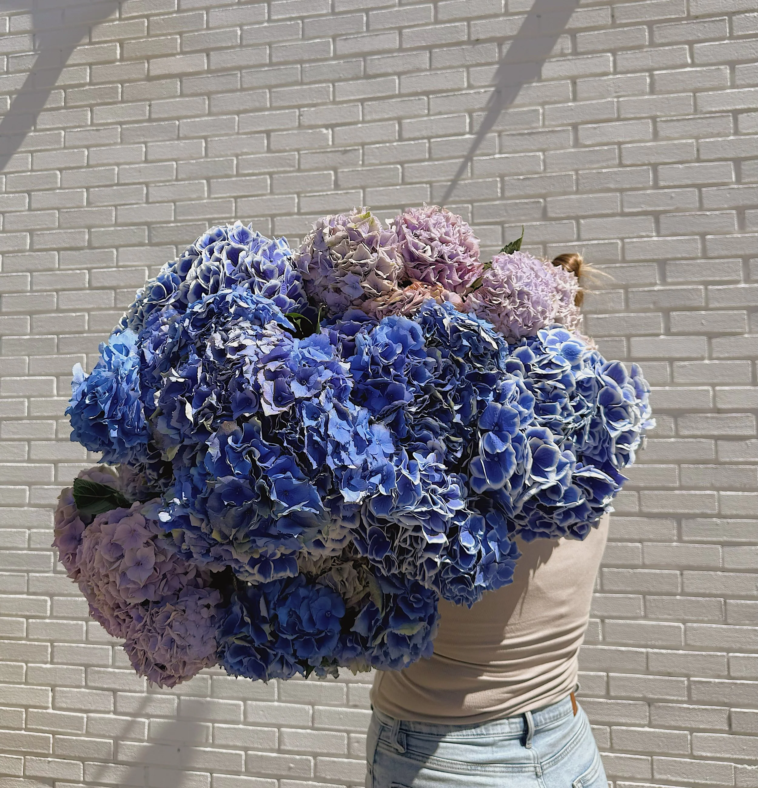You know what day it is&hellip;.. TRIVIA T H U R S D A Y 🌊✨

Guess how many stems of Dutch hydrangeas are in this bundle! Whoever guesses correctly will win a little prize for pick up 🩵

#beaconhill #flowerstagram #hydrangeas #summer #vacation
