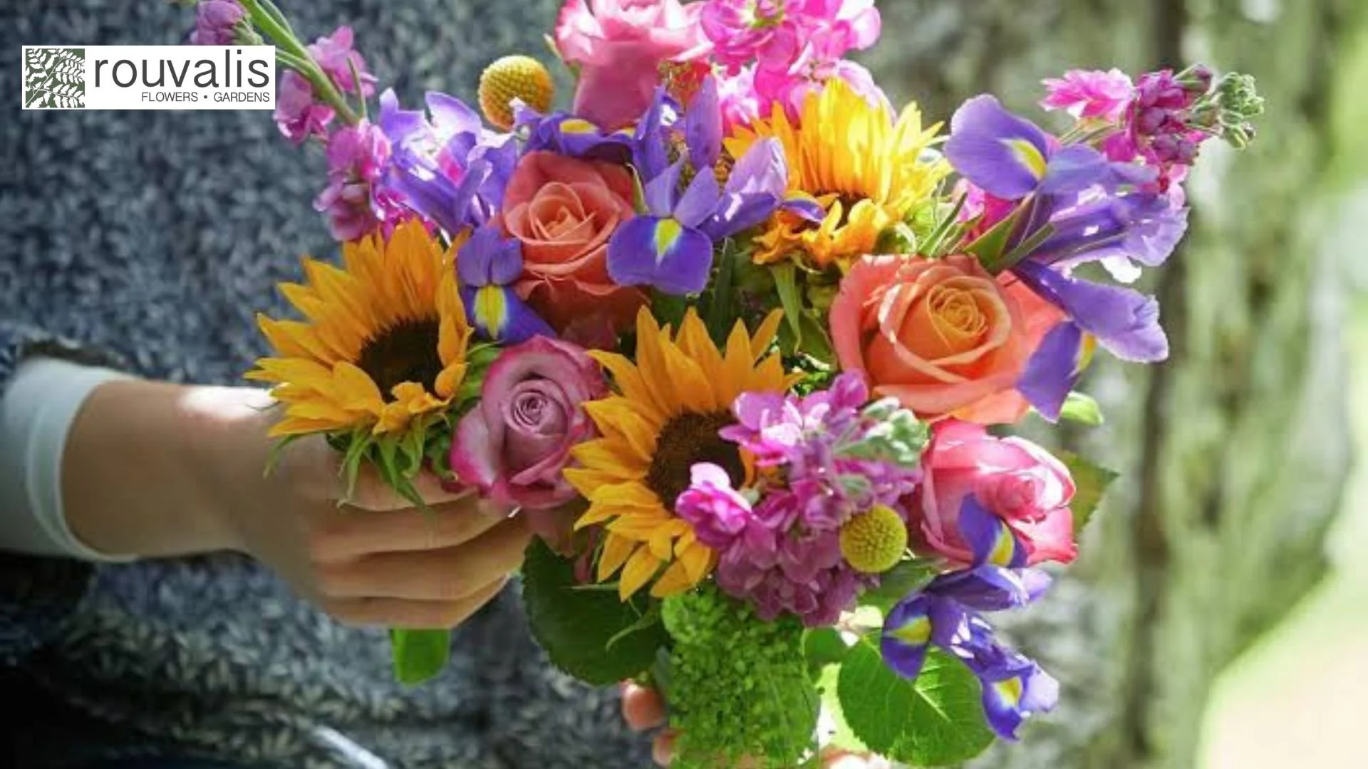 Best Summer Flowers in Boston 2026 What's In Season & How to Choose the Perfect Bouquet.jpg