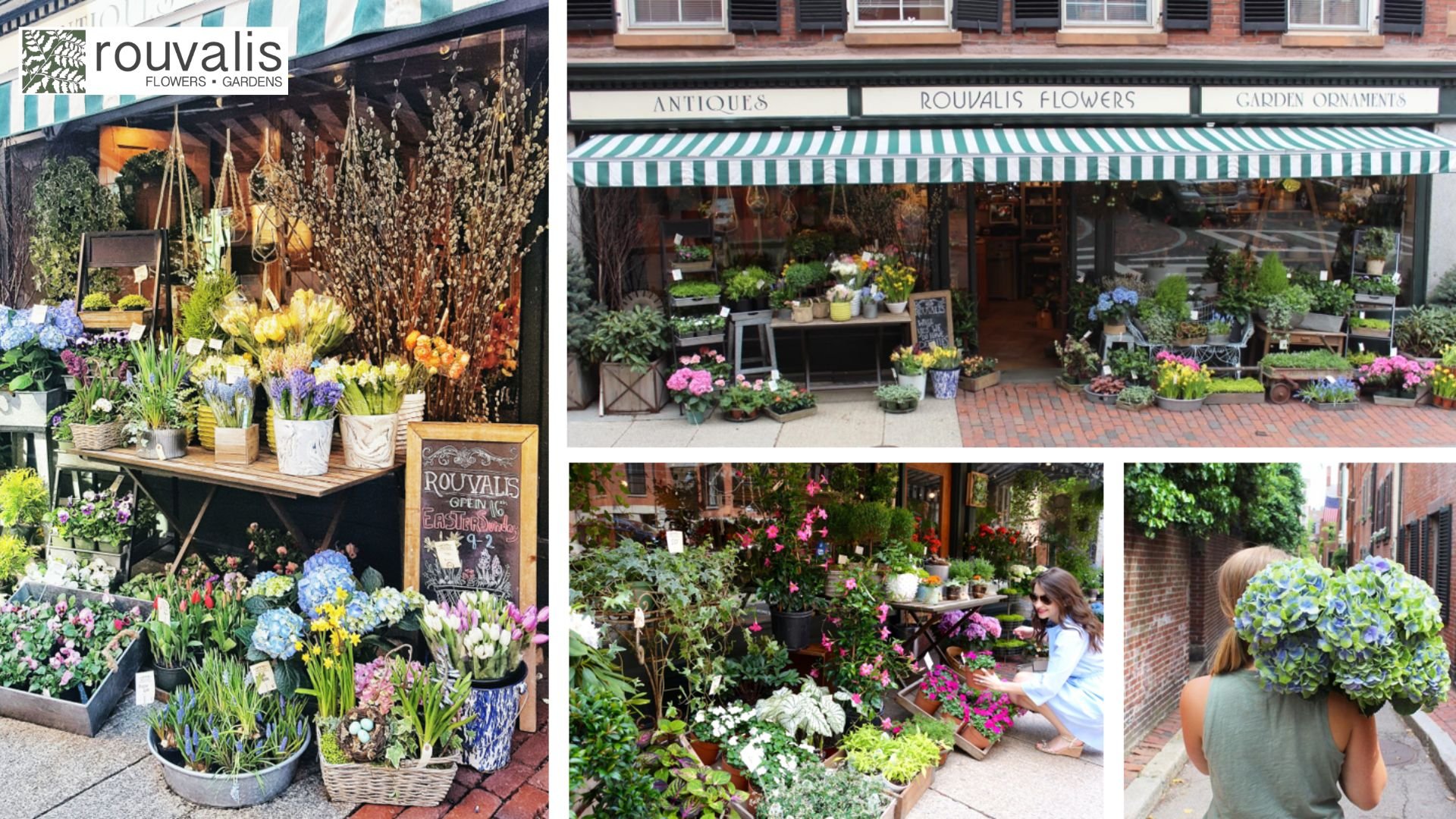 Learn, Create, or Shop: Rouvalis Flowers Complete Experience